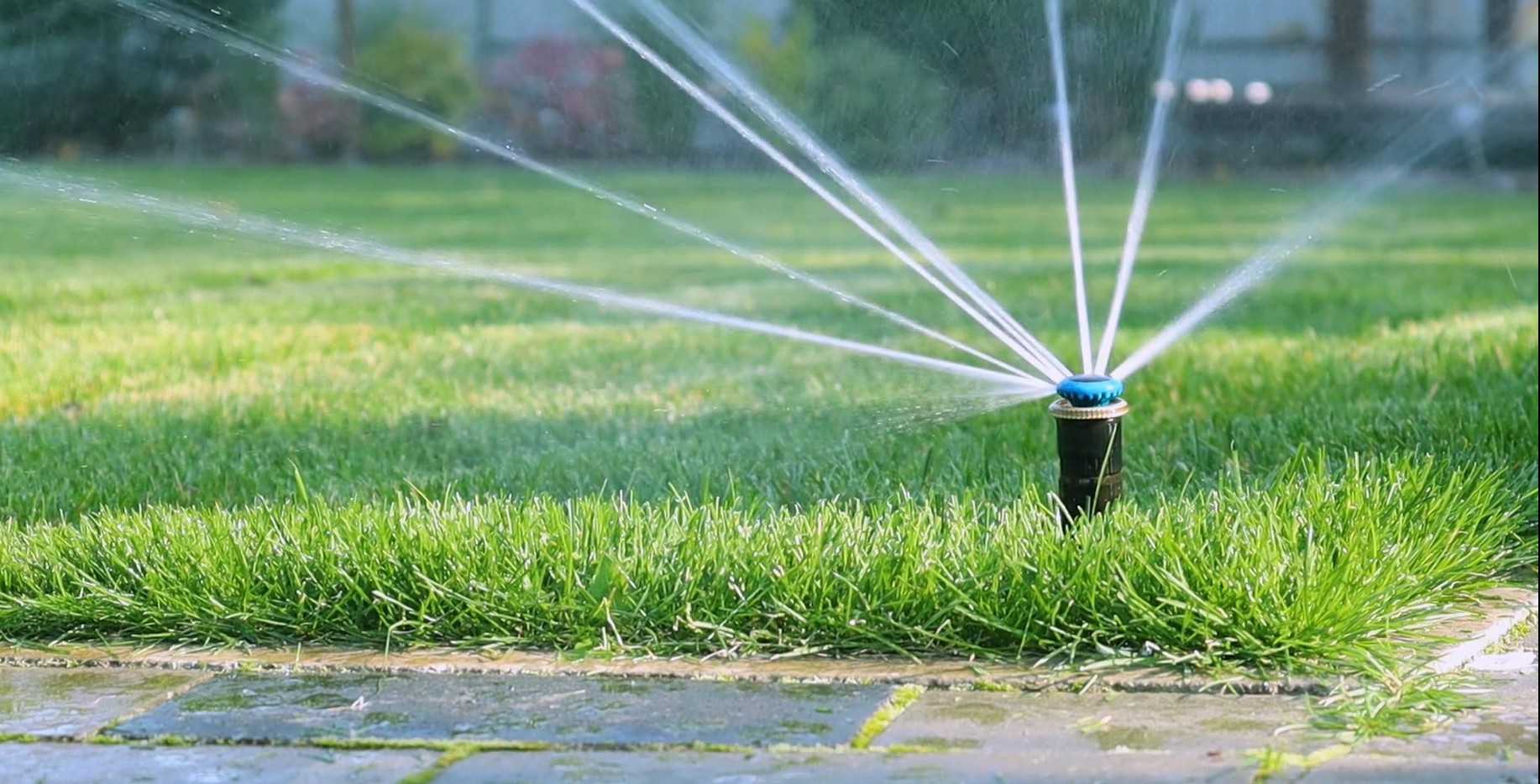 Professional irrigation sprinkler system watering lawn